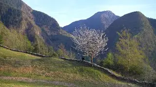Tueri Damasco - Disordine (live Cà Redunda)