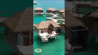 Just jump in! 💦  #jump #drone #sandalsresorts #jamaica #dji #overwatervilla #luxuryresort #shorts