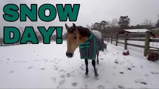 The WORST DAY! It’s CHRISTMAS!