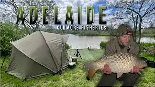 Cudmore Fisheries - The Return To Adelaide!  - On The Bank! - Ep.9