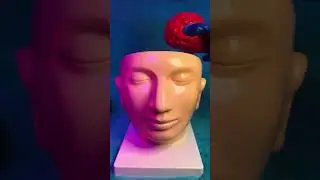 ASMR Quick Brain Transplant 🧠 