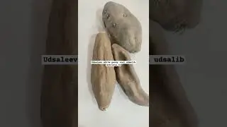 Udsaleev white peony root udsalib nutrixia.in