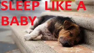 Proven Ways To Sleep Better | How To Fall Asleep Faster And Wake Up Well Rested