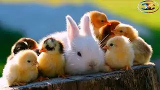 Что делать если ты любишь ... Любовь Ребёнок Мужчина Женщина