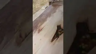 втирание  масла в древесину