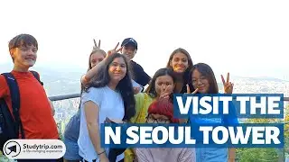 Ride the Cable Car up to N Seoul Tower