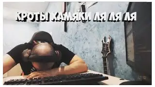 Дакар и Кроты-Хомяки