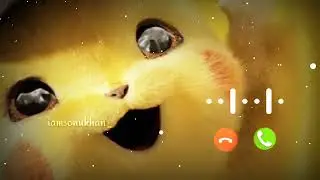New Message Ringtone 2022| Sms Tone |sms ringtone |notification ringtone |massage ringtone 2022