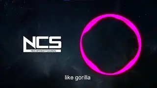 NCS Misheard Lyrics