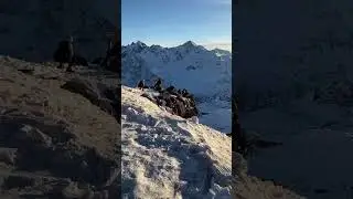 Эльбрус. Вид на горы с самого Эльбруса         #travel #nature #mountain