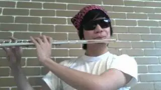Bed Intruder Song - Flute Cover