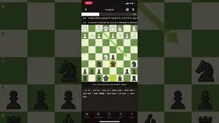 untitled chess