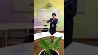Қазақ тілі мен әдебиеті айлығына жарнама