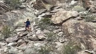 Oswit Canyon Dog Rescue - January 4, 2023