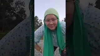 Bagai Tagar di Pulau SEMBILAN - VIONA (MV Rasmi)