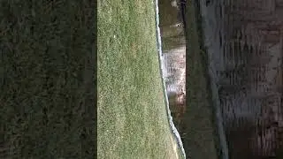 Riyadh Zoo Birds