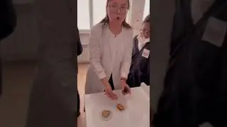 Интеллектуалды сайыс