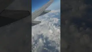 Полет в Петербург на самолете