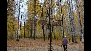Воскресник в парке, по уборке мусора