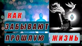 Как я забыл прошлую жизнь? Как работает реинкарнация?