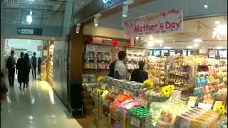 青砥散歩20240503