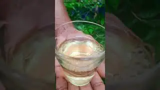 എത്ര മെലിഞ്ഞവരും പെട്ടെന്ന് തടിക്കാൻ ഇത് ഒരു സ്പൂൺ മാത്രം മതി Thadi koottan Eluppa Vazhi Weight Gain