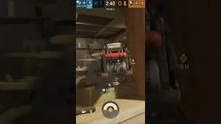 Oryx got curious 🧐