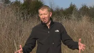 Naturally Speaking - Quail Habitats