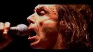 Iggy Pop - I Wanna Be Your Dog (Subtítulos en Español)