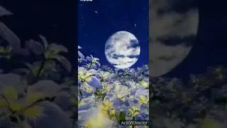 Доброй ночи! Волшебное пожелание