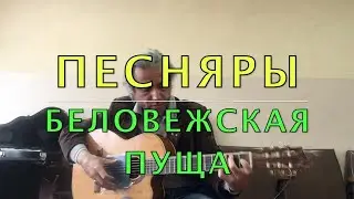 Песняры/Беловежская пуща/Fingerstyle COVER