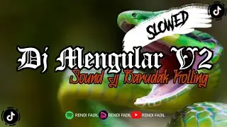 DJ ULAR MENGULAR V2 SOUND JJ ROLLING VIRAL TIKTOK