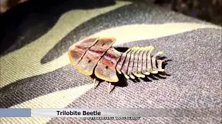 Best gifs compilation #16
