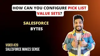 How can you configure Pick List Value Sets | Salesforce Bytes - Salesforce Makes Sense