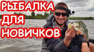 Рыбалка для начинающих. Ловля щуки и окуня для новичка. Основы спиннинга