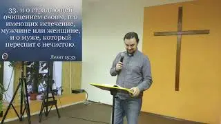 Поллюция и менстурация
