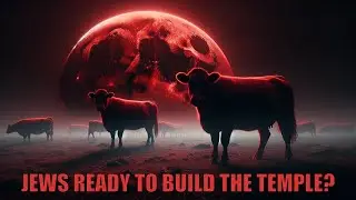 Unlocking The Mystery Of Red Heifers & The Impending Third Temple: A Sign Of The Impending Rapture?