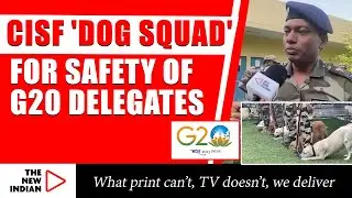 How Canines Protect IGI Airport? CISF 'Dog Squad' on G20 Duty.