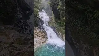Raging waterfall in NZ #newzealand #waterfall #nz #shorts #nature #dontgochasingwaterfalls #water