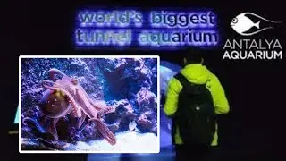 Full Walking Tour Of Antalya Aquarium | Turkey, Antalya