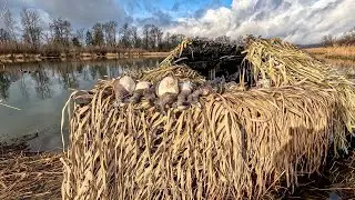 7 Days Solo Duck Hunting in my Custom Boat Blind