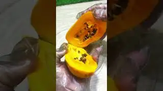 sweet small papaya fruit #sweet #papaya #foodshorts #fruit #fruitcutting #food #foodcutting #shorts
