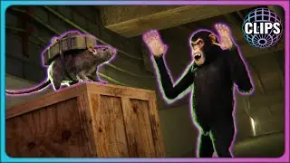 Playing as a rat that bombs roleplayers + monkey returns! | GTA 5 RP | UnscriptedRP