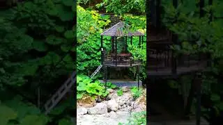 Восхищение природой Чеченской республики.