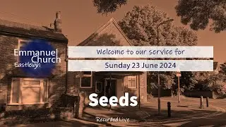Sunday 23 June 2024 - Seeds