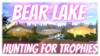 Russian Fishing 4 Bear Lake Hunting For Trophies