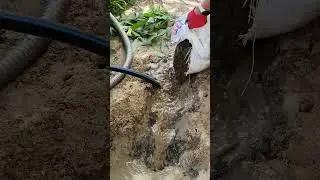 Обсыпка абиссинской скважины