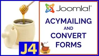 AcyMailing and Convert Forms for Joomla - 👀 WMW 249