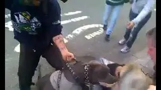 Pit Bull attacks little dog on streets of NYC