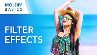 Filter Effects | MOLDIV Basics